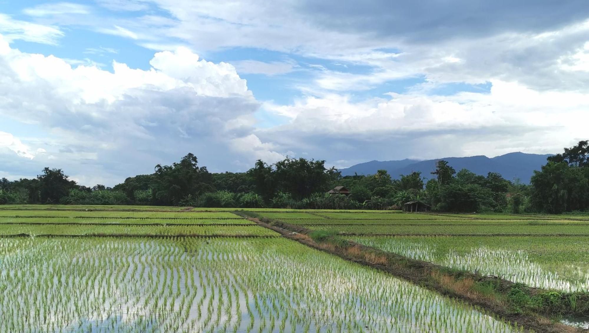 Wichouda Homestay Chiang Dao Exteriör bild